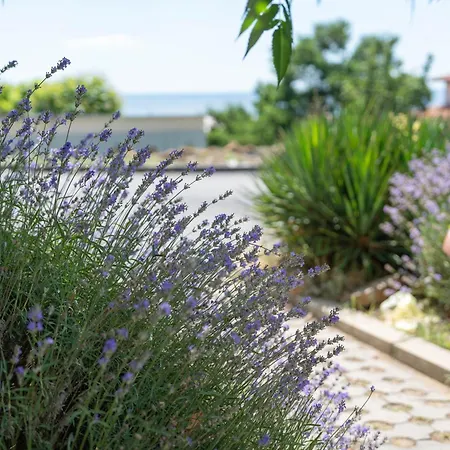 Sea Vista ホテル 3*